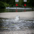 IMG 0007